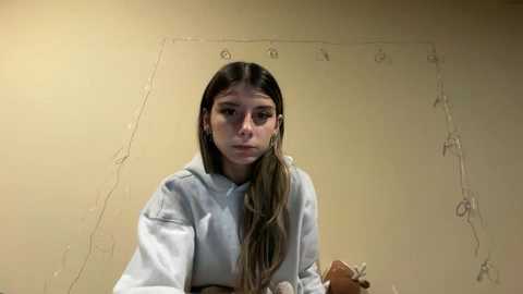 Video of a young woman with long, straight brown hair, wearing a light grey hoodie, sitting in a plain beige room. She holds a stuffed bear, with a faint, unfinished chalk drawing of a dog on the wall behind her.