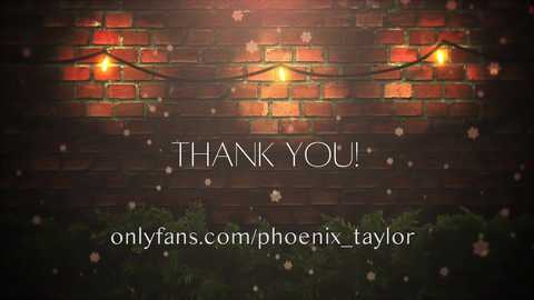 Video of a red brick wall adorned with glowing string lights and small, blurry green bushes at the bottom. Text reads \"THANK YOU!\" and \"onlyfans.com/phoenix_taylor\" in white.