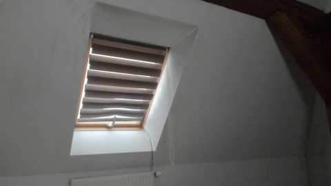 adventurina free recording from 2025-12-20 00:39:00