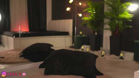 Video of a dimly lit, modern bedroom with a large, black leather couch, lush green plants, and soft, ambient lighting.