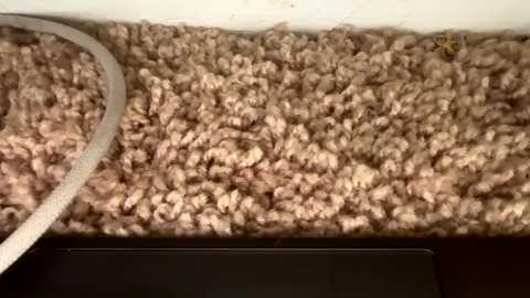 Video of a beige carpet with a light-colored electrical cord partially visible, against a white wall.