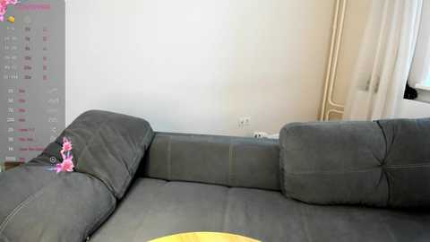 Video of a modern living room with a grey sectional sofa, a pink flower on the armrest, a calendar, and a white wall.