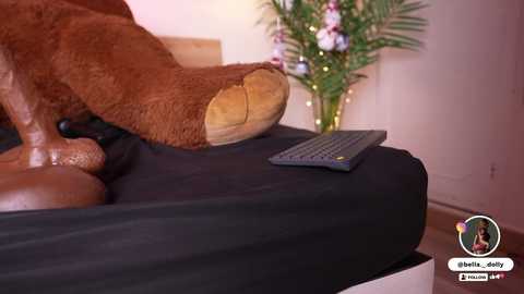 bella__donne free recording from 2025-12-21 06:20:00