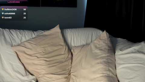 A video of a dimly lit bedroom featuring a white bed with two beige pillows, a white comforter, and a dark nightstand in the background. The room's ambiance is cozy and intimate.