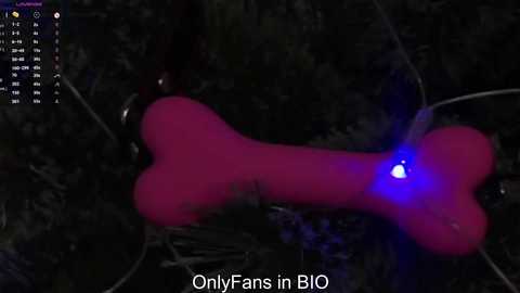 taitehambelton free recording from 2025-12-21 00:16:00