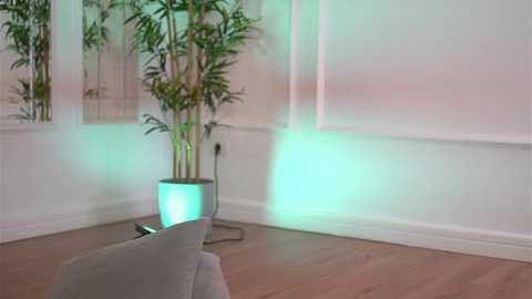 alexxiskye free recording from 2025-12-22 02:45:00