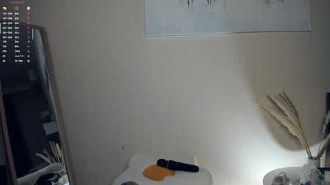 A video of a dimly lit bathroom with a beige wall, a white toilet, a black vibrator on the lid, a glass vase with dried pampas grass, and a mirror reflecting the city skyline at night.