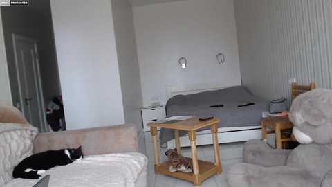 Video of a minimalist bedroom with a white bed, gray bedding, wooden side table, and a black cat lounging on a beige sofa.