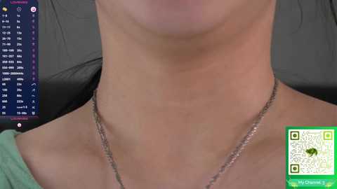 stephaniesally free recording from 2025-12-22 02:45:00