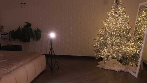 alissa_wxw free recording from 2025-12-23 01:26:00