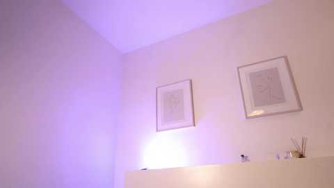 Video of a minimalist, cornered room with white walls and two framed abstract art pieces. A white shelf holds a candle, a small glass, and a dried flower arrangement. Soft purple lighting creates a serene ambiance.