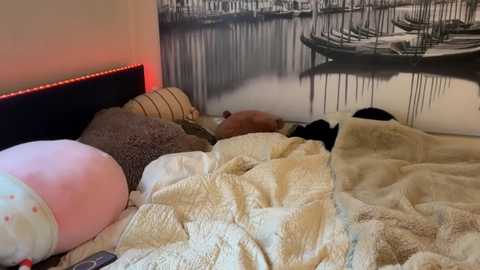 Video of a cozy bedroom with a person asleep under a cream quilt, a stuffed toy, and a large black-and-white wall mural depicting boats on water.
