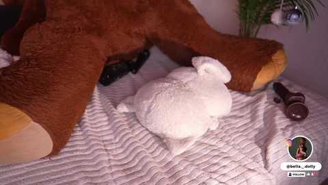 bella__donne free recording from 2025-12-23 00:13:00