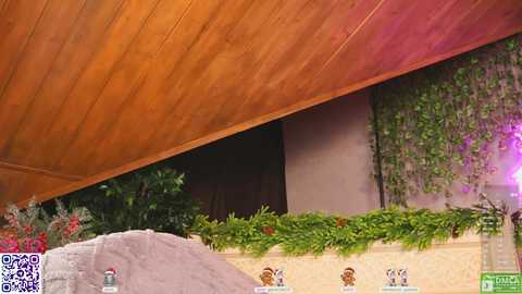 lissa_meooow free recording from 2025-12-23 01:26:00