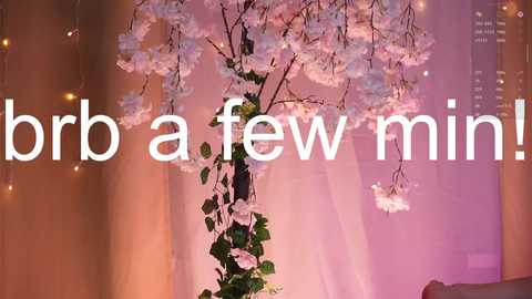 A video of a cherry blossom tree centerpiece adorned with white flowers, green leaves, and a pink background, overlaid with white text: \"brr a a few min!\
