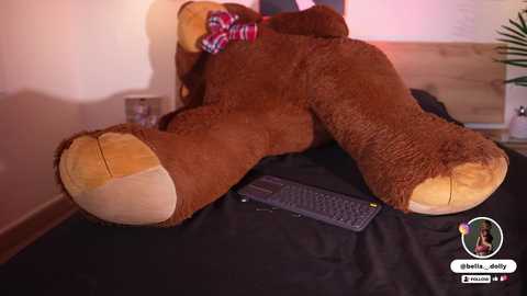 bella__donne free recording from 2025-12-24 00:15:00