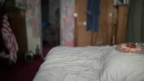 A blurry video shows a bed with rumpled white sheets and a partially visible cake on a tray. The background reveals a dimly lit room with colorful wall art, wooden furniture, and a red carpet.