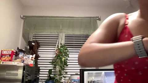 nalanistorme free recording from 2025-12-24 00:19:00