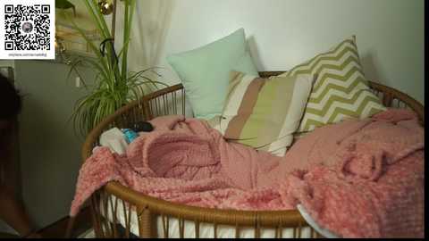 Video of a cozy, round wicker bed with a pink blanket, green and white striped pillow, and a white pillow, against a white wall. A plant stands beside it.