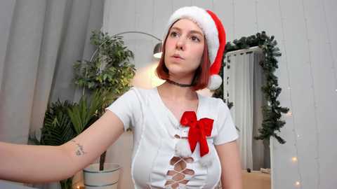 alice_dusk_ free recording from 2025-12-25 00:16:00