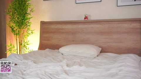 lanisun free recording from 2025-12-25 00:16:00