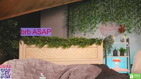 lissa_meooow free recording from 2025-12-25 01:40:00