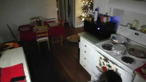 luh698171 free recording from 2025-12-25 00:16:00