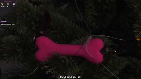 taitehambelton free recording from 2025-12-25 00:16:00