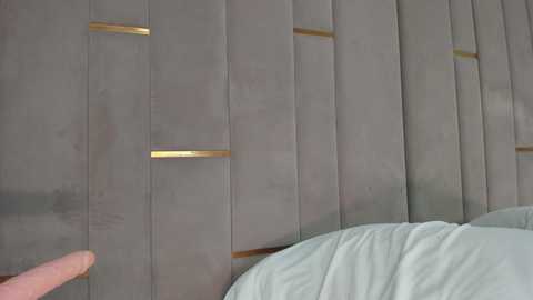 evalims free recording from 2025-12-26 00:30:00