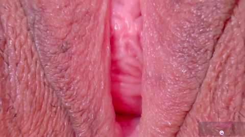 Media: Close-up video of a woman's vulva, showing the inner labia and vaginal opening with pinkish hues, textured skin, and natural folds.