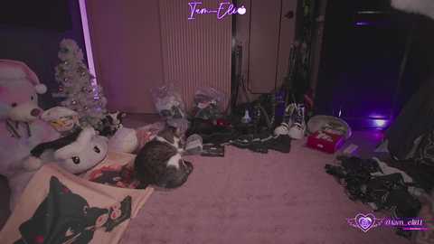 iam_eli free recording from 2025-12-26 00:30:00