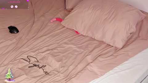 lili_and_niki free recording from 2025-12-26 00:30:00