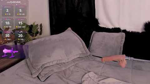 missmeegan_ free recording from 2025-12-26 00:30:00