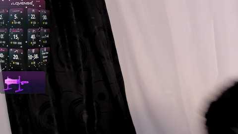 missmeegan_ free recording from 2025-12-26 00:45:00