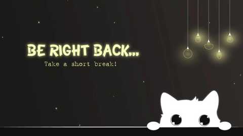 A digital cartoon image with a white cat peeping over a black background, surrounded by glowing light bulbs, with bold yellow text: \"BE RIGHT BACK... Take a short break!\