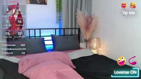 Video of a modern bedroom with a black metal bed, pink and black bedding, a potted plant, and a lamp. Digital recording icons overlay the image.