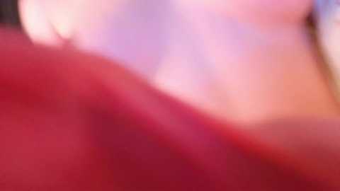 clairwittenmyer free recording from 2025-12-27 00:28:00