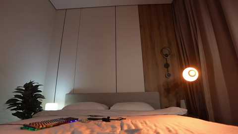 Video of a minimalist bedroom with beige walls, a headboard, a potted plant, a bedside lamp, and a white bed.