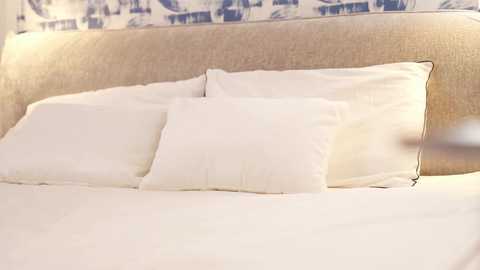 villanelle_l free recording from 2025-12-27 00:28:00