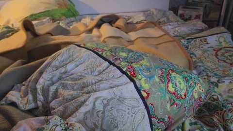 _demi_dee_ free recording from 2025-12-28 00:24:00