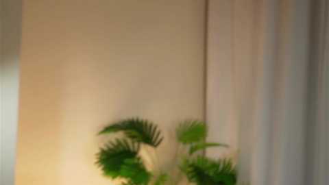 akumadadrive free recording from 2025-12-28 00:23:00