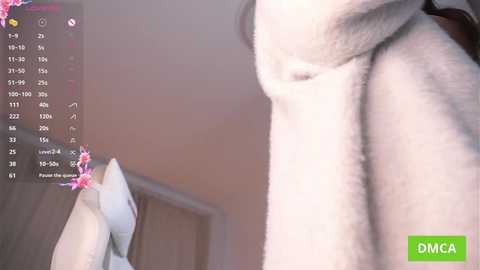 oke_doke free recording from 2025-12-28 00:06:00