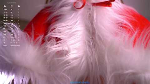 oke_doke free recording from 2025-12-28 00:09:00