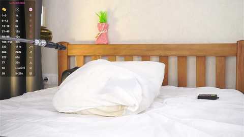 pafosstar free recording from 2025-12-28 00:09:00