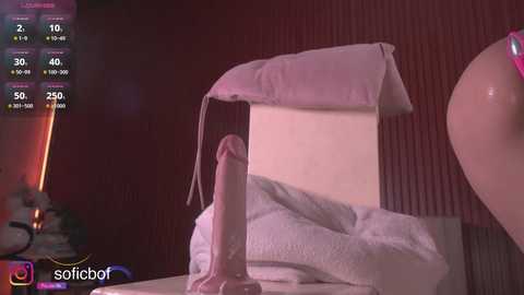 soficb free recording from 2025-12-28 00:06:00