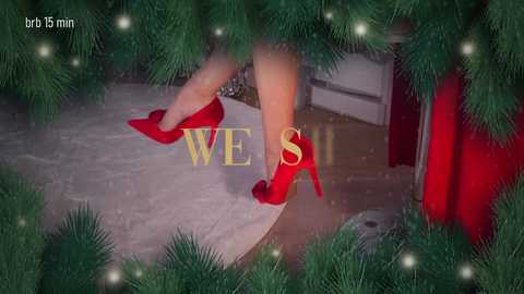 taanni_bc free recording from 2025-12-28 00:06:00