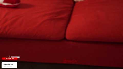 taanni_bc free recording from 2025-12-28 00:23:00