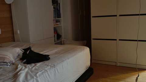 wild41 free recording from 2025-12-28 00:23:00