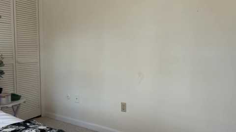 willoww888 free recording from 2025-12-28 00:09:00