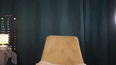 Video of a dimly lit room with a beige, tufted chair against a dark blue curtain backdrop. A white lamp with a pink shade sits on a small table to the left.